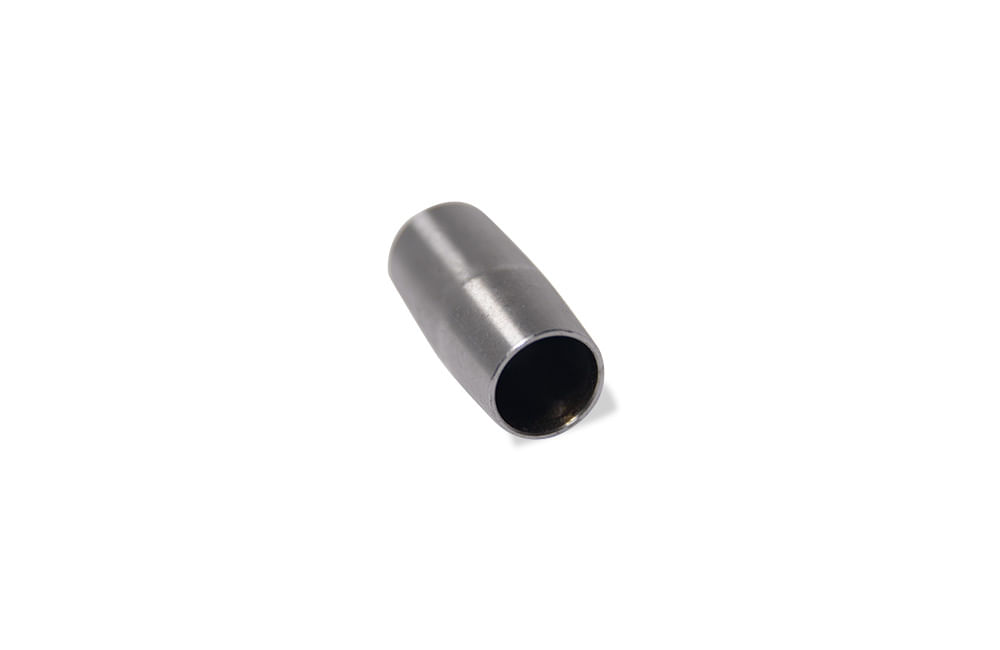 Pasalidognathus modestus　69mm 62mm BATENTE DA FLAUTA - Sport KS/ESD | FastStore PDP