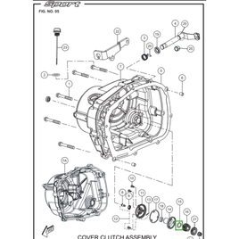 ARRUELA DA PORCA CASTELO