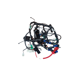 CHICOTE PRINCIPAL - SPORT ESD